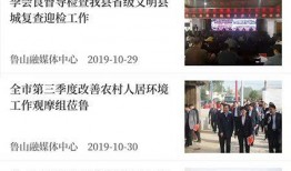 鲁山县最新爆料新闻直播,揭秘重大新闻事件背后真相